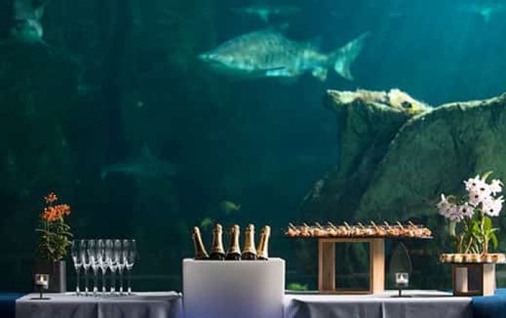 Aquarium-La-Rochelle-Espace-receptif-Scenoria