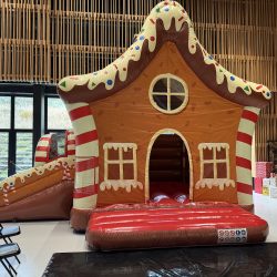 Structure Gonflable (Arbre de Noël) | Scenoria